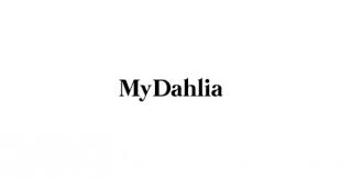 My Dahlia